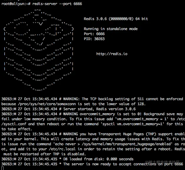 redis-server --port 6666