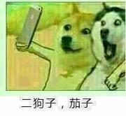 如果蜗牛会编程的个人资料头像