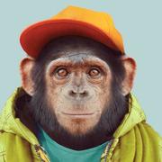 掘尘的个人资料头像