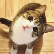 哔哔哔哔哔的个人资料头像