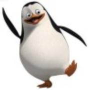 李国师的个人资料头像