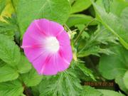 amaozjy的个人资料头像