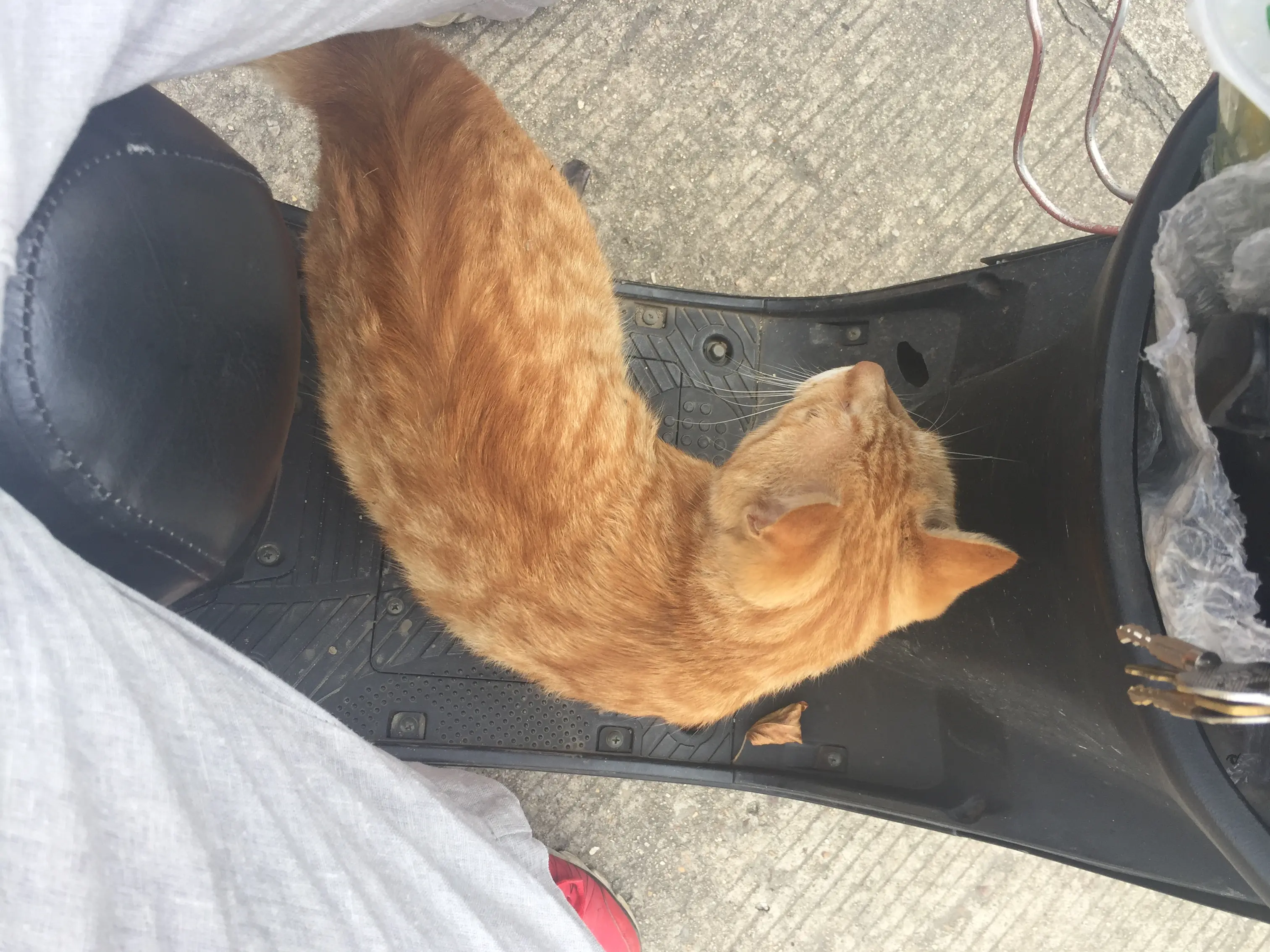 图片发自简书App