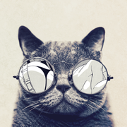 EricYi囧rz的个人资料头像