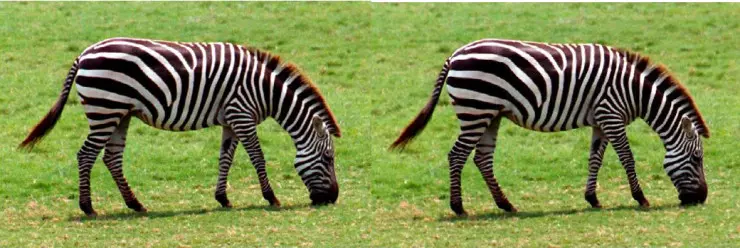 腾讯QQ空间超分辨率技术TSR：为用户节省3/4流量，处理效果和速度超谷歌RAISR