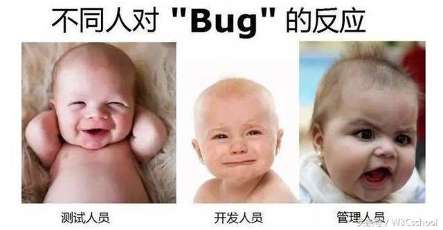 程序员快速处理代码bug的5大技巧，二分调试大法是必备武器！