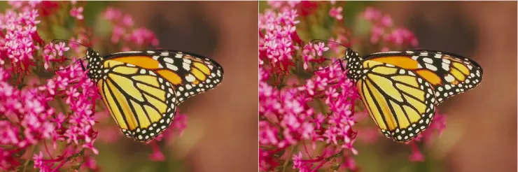 腾讯QQ空间超分辨率技术TSR：为用户节省3/4流量，处理效果和速度超谷歌RAISR