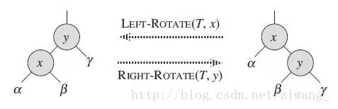左旋右旋概念图