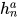 h_{n}^{a}