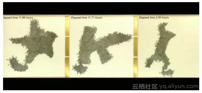 f6818d01219c593004db8e3d2892fb8186241452