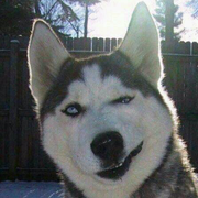 Aa0023_的个人资料头像