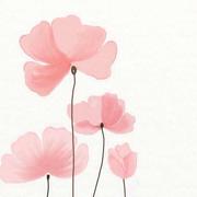 小zy的个人资料头像