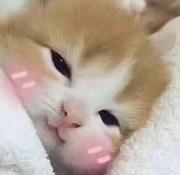 离岛_的个人资料头像