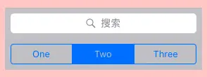 带选择按钮视图的搜索栏