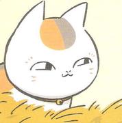 rooting的个人资料头像