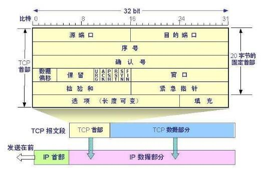 TCP报文格式.jpg
