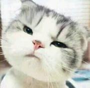 muyuzifeng的个人资料头像