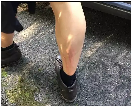 2683ddeb6cde7b15838a61659782842397d63fe0