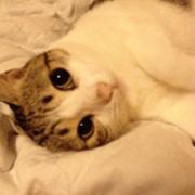 maomaomao002的个人资料头像