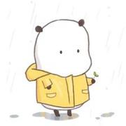 maplesog25835的个人资料头像
