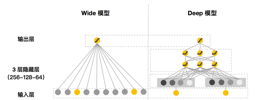 本文构建的网络