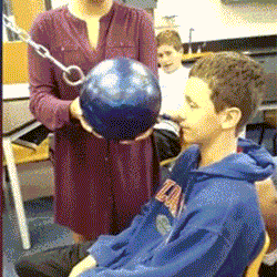 魔芋中央豆腐于2017-11-03 12:12发布的图片