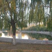 再见规格的个人资料头像