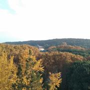 陈少棠的个人资料头像