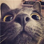 julianjia的个人资料头像