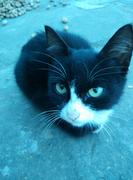 毛线拖孩的个人资料头像