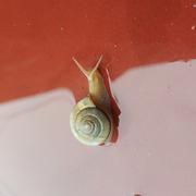 努力的人生的个人资料头像