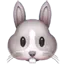 :rabbit: