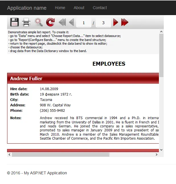 如何在开发MVC应用程序时使用报表