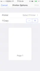 Printer Options显示英文