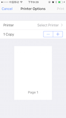 Printer Options显示英文