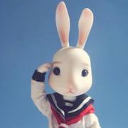 洱马的个人资料头像