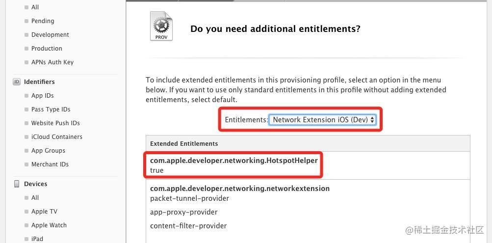 选中 Network Extension 权限