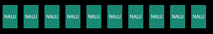 NALUs