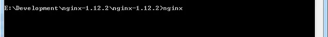 启动Nginx.PNG