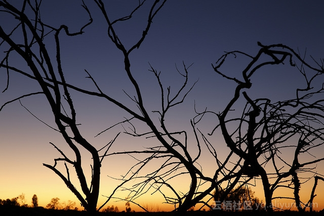 880026e640d0bcca8434496afd1c8c2e4b2f7edc