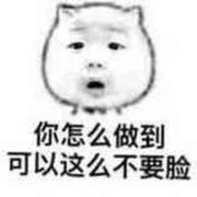 LNcode的个人资料头像