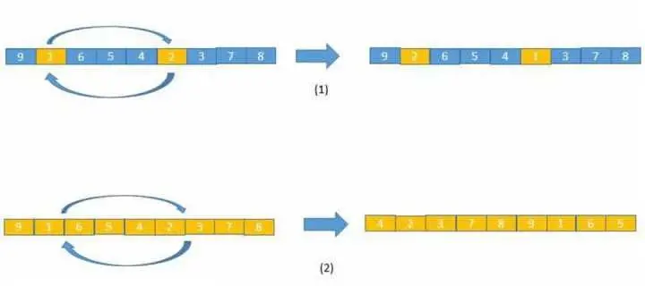 基因变异示例图