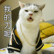 喵不鱼72的个人资料头像