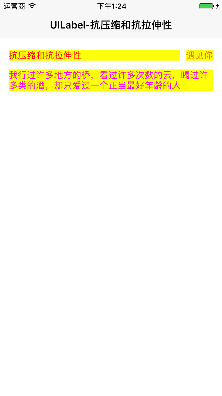 Simulator Screen Shot.png