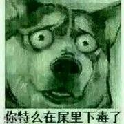发抖r小喵喵的个人资料头像