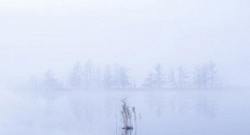 这里写图片描述 这里写图片描述