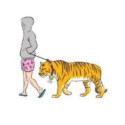 我是一个菠菜的个人资料头像