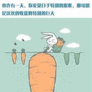 A訫飛Flyme的个人资料头像
