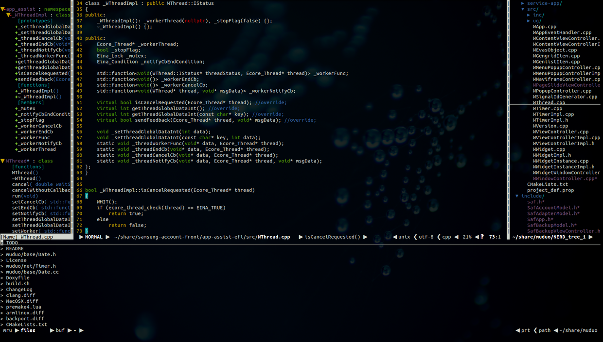 myvim