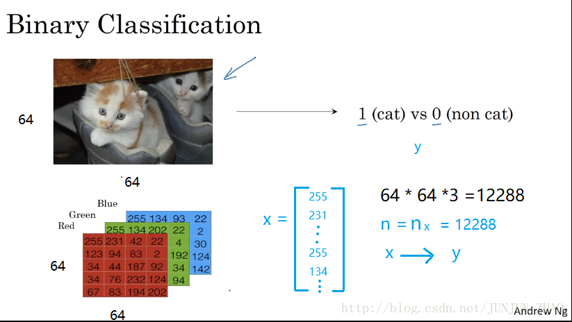 Binary  Classification